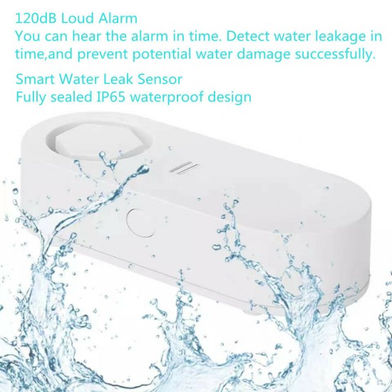 433MHz 120dB Wireless WIFI Waterproof Water Leak Flooding Sensor Alarm with Buzzer