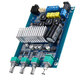 TPA3116D2 bluetooth 5.0 High Power 2.0 Digital Professional with Tuning Home Power Amplifier Board DC 12-24V