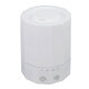 RGB LED Night Light 200ml Portable USB Humidifier Air Purifier