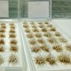 28pcs/Set DIY Mini Scenery Snowy Grass Clusters Ciniature Model Scale Decorations