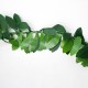 295 Inch Ivy Leaf Garland Green Plant Plastic Vine Foliage Plastic Iron Wire Decor