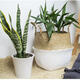 5PCS Mat Grass Belly Basket Storage Plant Pot Foldable Laundry Bag Room Decorative Flower Pot