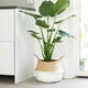 5PCS Mat Grass Belly Basket Storage Plant Pot Foldable Laundry Bag Room Decorative Flower Pot