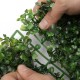 60x40cm Artificial Plants Lawn Hedge Vertical Garden Green Wall Mat