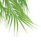 6/9 Branches Green Palm Leaves Plastic Fake Plant Artificial Leaf Home Adornment Decorations