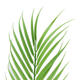 6/9 Branches Green Palm Leaves Plastic Fake Plant Artificial Leaf Home Adornment Decorations