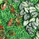 Artificial Plant Wall Topiary Hedges Panel Plastic Faux Shrubs Fence Mat Artificial Plant Wall Topiary Hedges Panel Plastic Faux Shrubs Fence Mat