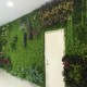 Green Plant Wall Background Wall Plastic Simulation Plant Lawn Wall
