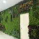 Green Plant Wall Background Wall Plastic Simulation Plant Lawn Wall