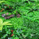 Green Plant Wall Background Wall Plastic Simulation Plant Lawn Wall