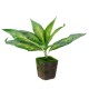 Lifelike Artificial Plants PseudoLeaf Palm Leaves Grass Pot Home Bush Wall Decorations