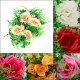 Simulation Stars Flowers Artificial Plastic Lawn Weddings Home Cafe Garden Restaurant Decor