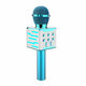 DS868 Wireless bluetooth microphone Speaker HIFI DSP Noise Reduction TF Card KTV Mic 1200mAh Handheld Singing Player