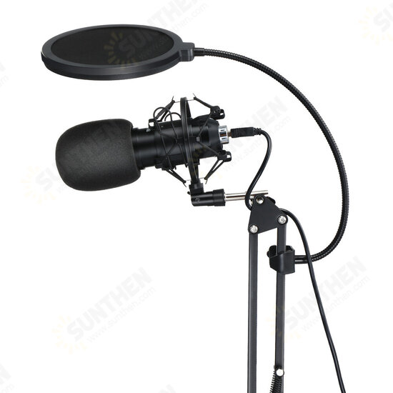 BW-CM2 Condenser Microphone USB Microphone Audio Dynamic System Kit Cantilever Bracket Anti-spray Net Set Sound Recording Vocal Microphone