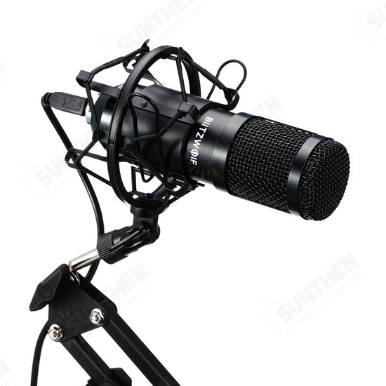 BW-CM2 Condenser Microphone USB Microphone Audio Dynamic System Kit Cantilever Bracket Anti-spray Net Set Sound Recording Vocal Microphone