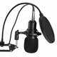 Double Layer Condenser Microphone Blowout Cover Host Singer Studio Windproof Net Double Layer Condenser Microphone Blowout Cover Host Singer Studio Windproof Net