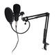 RODD Condenser Microphone Live Broadcast Mic Computer Karaoke Large Diaphragm with Bracket for Youtube RODD Condenser Microphone Live Broadcast Mic Computer Karaoke Large Diaphragm with Bracket for Youtube