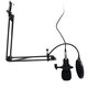 RODD Condenser Microphone Live Broadcast Mic Computer Karaoke Large Diaphragm with Bracket for Youtube RODD Condenser Microphone Live Broadcast Mic Computer Karaoke Large Diaphragm with Bracket for Youtube