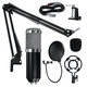 RODD Condenser Microphone Live Broadcast Mic Computer Karaoke Large Diaphragm with Bracket for Youtube RODD Condenser Microphone Live Broadcast Mic Computer Karaoke Large Diaphragm with Bracket for Youtube