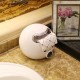 Cute Eyes Stickers Portable Cute Durable Wall Mounted Bathroom Paper Roll Holder Tissue Box