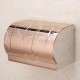 BX Stainless Steel Toilet Roll Paper Holder Dull-pack Paper Shelf Holder Rack
