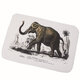 40x60CM Non-Slip Bath Mats Washroom Carpet LOVE Rose Elephant Dog Printed Floor Carpet Pad Rugs