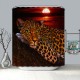 70inch x 70inch African Leopard Shower Curtain Wildlife Animal Sunset Cheetah Polyester Shower Curtains Waterproof Home Decor Red Black