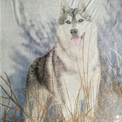 3D Print Husky Blanket Couch Quilt Fashion Cover Travel Child Bedding Velvet Plush Throw Fleece Blanket 3D Print Husky Blanket Couch Quilt Fashion Cover Travel Child Bedding Velvet Plush Throw Fleece Blanket