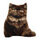 Cat 047 