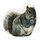 Squirrel2 