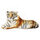 Tiger7 
