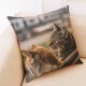 BX 45x45cm Cat Pattern Luxury Cushion Cover Graffi Style Throw Pillow Case Pillow Covers