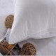 PT-128 3 Size Down Cotton Vacuum Compression Pillow Core Square Pillowcase Cushion Insert Sofa Decor