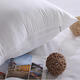 PT-128 3 Size Down Cotton Vacuum Compression Pillow Core Square Pillowcase Cushion Insert Sofa Decor