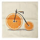 Lemon Orange Grapefruit Bicycle Throw Pillow Case Cotton Linen Sofa Cushion Cover