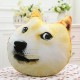 Plush 3D Printed Samoyed Husky Doge Dog Throw Pillow Alaska Dog Cushion