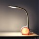 5.5W Flexible Dimmable Touch Control Desk Table Reading Lamp Color Changing Bedside Night Light