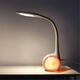 5.5W Flexible Dimmable Touch Control Desk Table Reading Lamp Color Changing Bedside Night Light