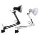 5W Super Bright Swing Arm Desk Lamp Clamp on Table Light with LED Bulb Metal Clip 220V