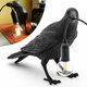 Black/White Bird Table Lamps Resin Crow Desk Lamp Bedroom Wall Sconce Light Fixtures