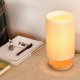 Touch Dimmer Table Lamp Modern LED Chrome Lampshades For Home Bedroom Light USB