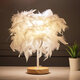 USB Modern White Feather Shade Table Lamp Lampshade Elegant Bedside Desk Night Light Home Bedroom Decor