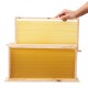 10Pcs Bees Wax Foundation Sheets Wood Beekeeping Pine Beehive Frame 49X23.5 cm