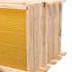 10Pcs Bees Wax Foundation Sheets Wood Beekeeping Pine Beehive Frame 49X23.5 cm