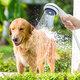 Electric Outdoor Shower Kit Camping Shower With Electric Pump Shower For Travel Car Washing Camping Hiking Flowering Plants
