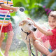 Electric Outdoor Shower Kit Camping Shower With Electric Pump Shower For Travel Car Washing Camping Hiking Flowering Plants