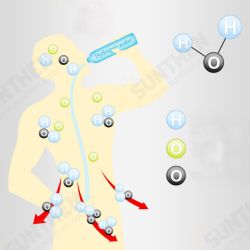 450ml Hydrogen-Rich Water Ionizer Maker Cup Generator Glass Bottle Mug USB Charging Glass Water Bottle