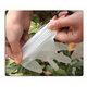 100*Pcs Disposable PVC BBQ Gloves Waterproof Anti-Infection Safety Glove