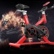 Exercise Spinning Bike Professional Home Cycling Fitness Bicycle Belt Drive