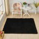 Floor Rug Shaggy Carpet Area Rug Living Room Mat Bedroom Soft Decor 2 Colors